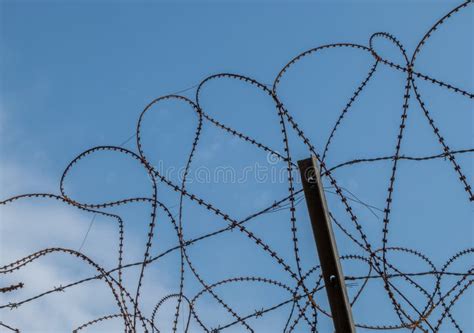 Barbed Wire Fence Along The Korean DMZ Stock Image - Image of wire, barbed: 96342613