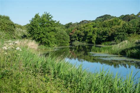 Hythe Canal | Flickr