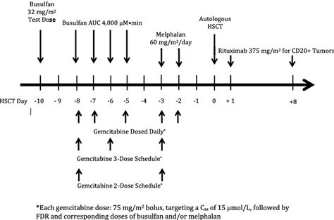 Treatment Regimen [10]. | Download Scientific Diagram