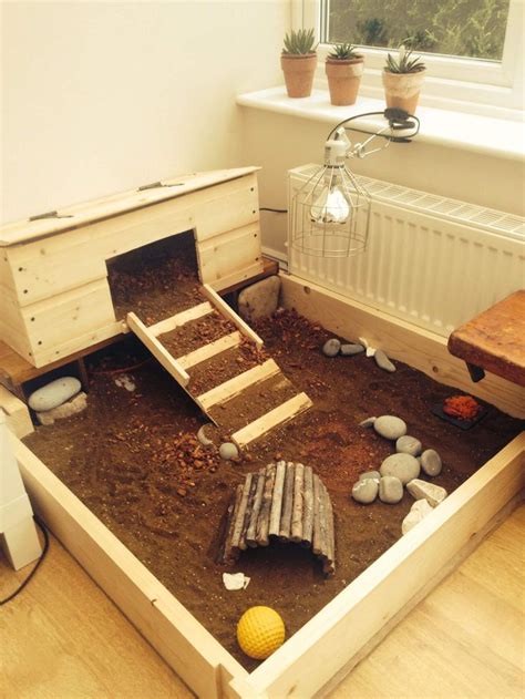 7 Easy Steps and Tips to make Tortoise House Escape-Free | Tortoise enclosure, Tortoise habitat ...