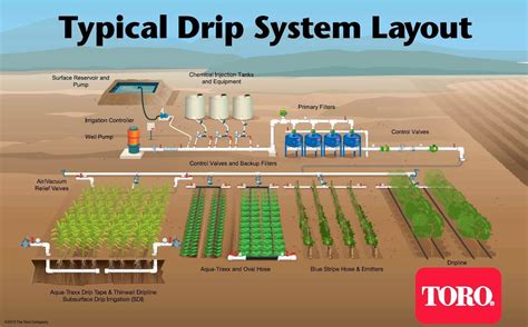 Design Vegetable Garden Irrigation System Subsurface Drip Irrigation ...