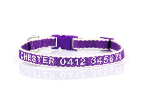 Personalized Cat Collar – Snazzy Fido