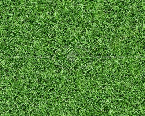 green grass textures seamless