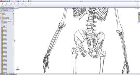 3d 3dm Solidworks Skeleton