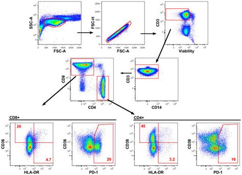 Unbiased Research: Preventing Population and Gating Bias