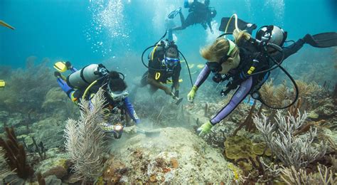 A Revolution in Coral Conservation | The Nature Conservancy