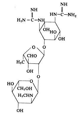 链霉素图册_360百科