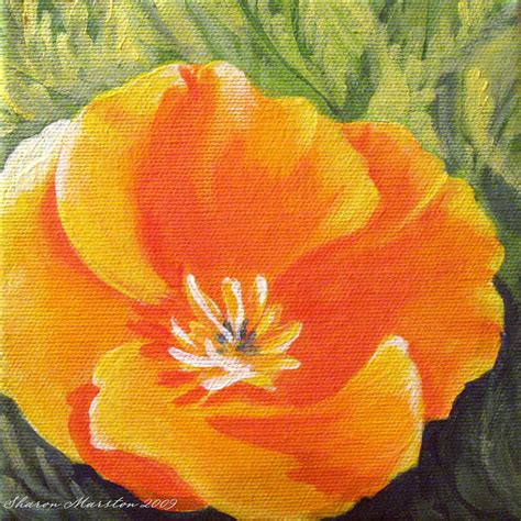 California Poppy Painting by Sharon Marcella Marston