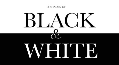 Why Your Business Needs a Black and White Logo？ - LogoAI.com