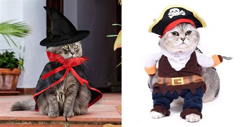 Best Costumes For Cats | POPSUGAR UK Pets