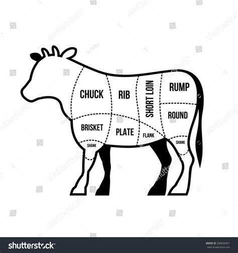 Beef Cuts Chart Cow Isolated On Stock Illustration 336050951 | Shutterstock