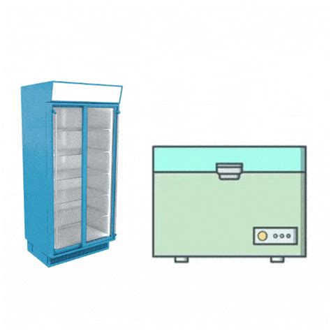 Upright Freezer or Chest Freezer? Choose Accordingly