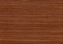 Walnut Wood Free Stock Photo - Public Domain Pictures