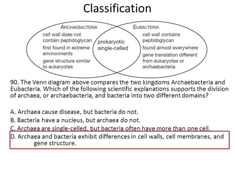 What Are The Differences Between Eubacteria And