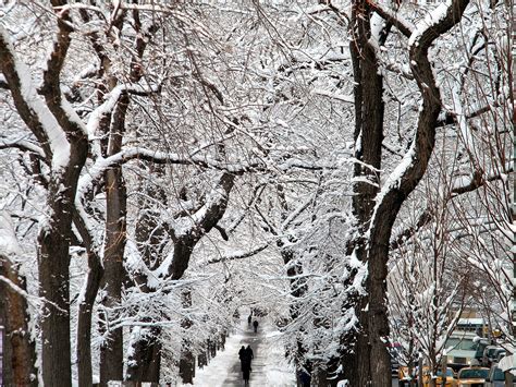 Winter Snow Storm New York City Public Domain Clip Art Photos and Images