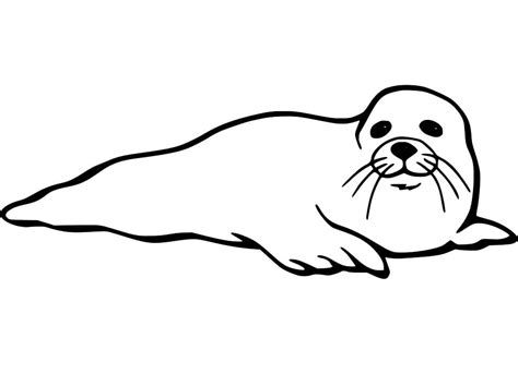 Monk Seal Coloring Page - Free Printable Coloring Pages for Kids