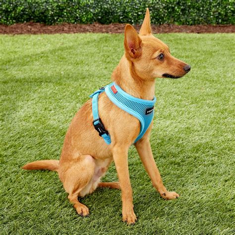 Puppia Soft Dog Harness, Sky Blue, Small - Chewy.com