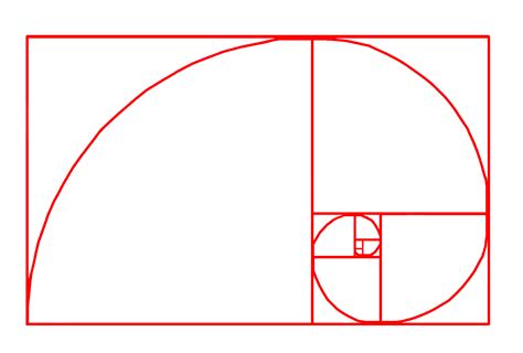 Fibonacci spiral | The Golden Ratio | Know Your Meme