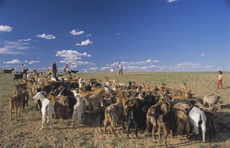 Mongolian Nomads, Nomadic life Mongolia, photos by Sven Zellner