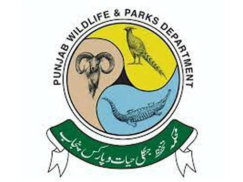 Wildlife Dept inks ‘management agreement’ with Punjab Rangers - Pakistan - Business Recorder