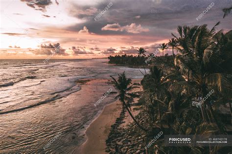 Sri Lanka, Provincia del Sur, Ahangama, Vista aérea de palmeras a lo largo de la playa costera ...