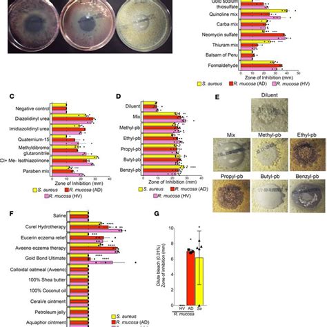 (PDF) First-in-human topical microbiome transplantation with Roseomonas mucosa for atopic dermatitis