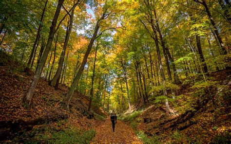 Hamilton Hiking Trails: Your Guide to the Best Hikes in Hamilton » I've Been Bit :: A Travel Blog