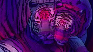 Tigers wallpapers hd, desktop backgrounds, images and pictures