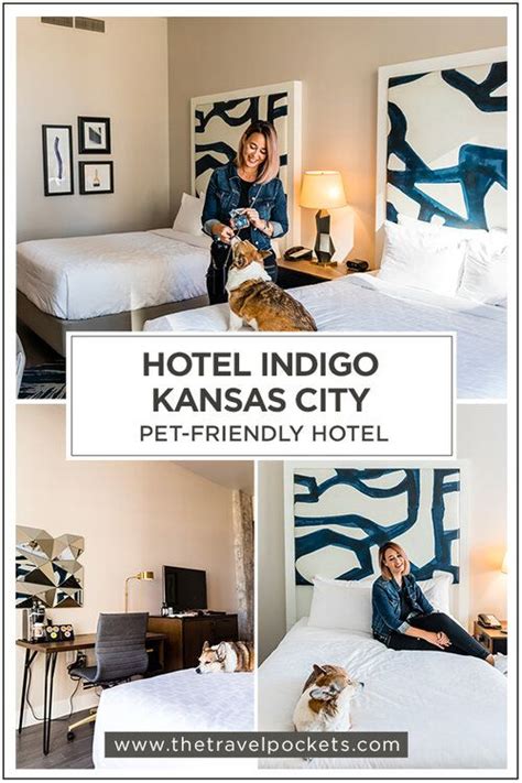 pet friendly hotels kansas city airport - Bitter Personal Website Photo ...