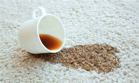 How To Remove Coffee Stains From The Carpet In 8 Unique Ways | Removal Steps