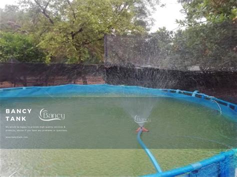 Zambia Customer Tilapia Farming in Tanks - Bancytank