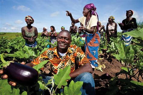 Ministro da Agricultura português em visita para reforço da cooperação - Ver Angola ...