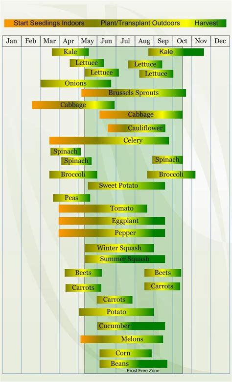 Fall Veggie Planting Guide for Zone 6a | Vegetable planting calendar ...