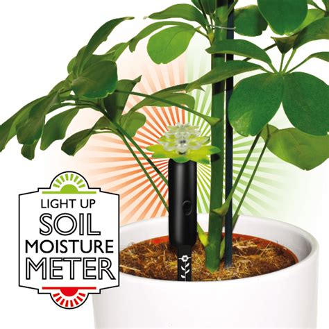 LED Moisture Sensor – Boutique at House of Marbles