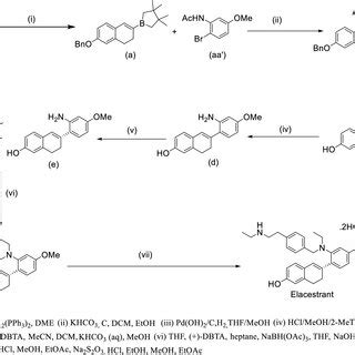 Mechanism of action of Orserdu as SERM and SERD | Download Scientific ...