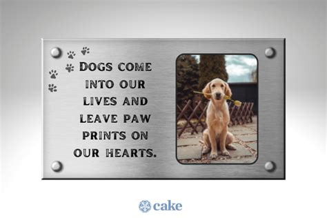 25+ Short Pet Memorial Sayings for a Plaque or Stone | Cake Blog