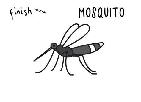 How To Draw a Mosquito Insect Pest (Step by Step Guide) - Rainbow Printables