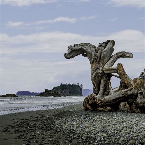 Ruby Beach — Washington Trails Association