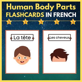 The human body parts In French flashcards. Printable Posters for kids