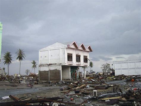 12 Years on – Sri Lanka's Recovery From the Indian Ocean Tsunami - Media Defender