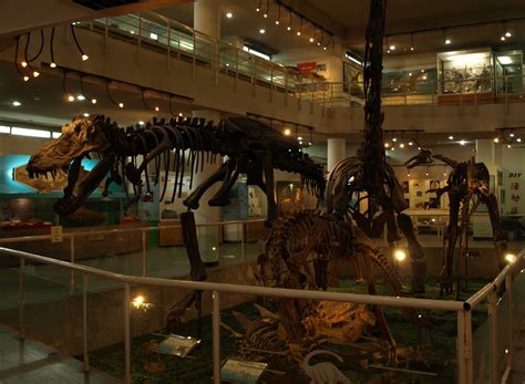 Capt Mondo's Photo Blog » Paleozoological Museum of China