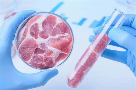 Lab grown/Cultured/Clean/Artificial Meat Production Business - Meticulous BPlans