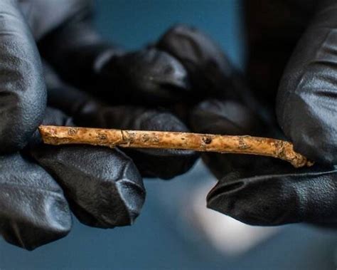 Archaeologists have just discovered 12,000-year-old bone flutes once ...