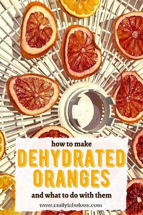 Dehydrated Oranges - Dehydrator or Oven - EmilyFabulous