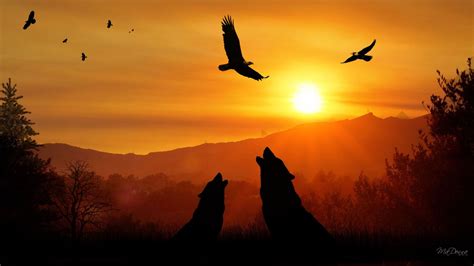 Howling wolves at sunset Beautiful Landscape Pictures, Beautiful Landscapes, Beautiful Pictures ...