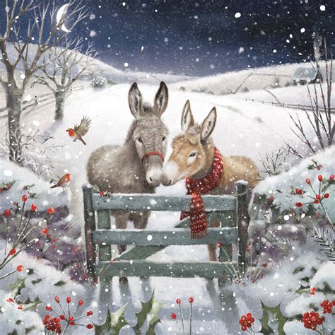 Donkeys NSPCC Charity Christmas Cards | NSPCC Shop