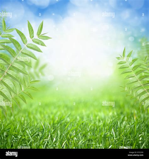 Beautiful nature eco background - green grass, leaves, bright sun, blue ...