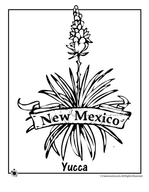 New Mexico State Flower Coloring Page | Woo! Jr. Kids Activities ...