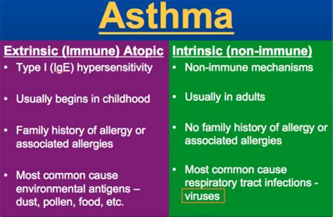 Intrinsic And Extrinsic Asthma Causes Symptoms And Tr - vrogue.co