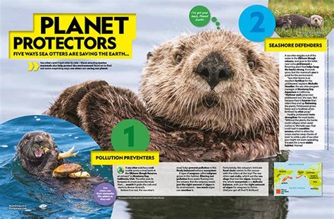 National Geographic Kids Magazine Subscription - Subscrb | Discounted ...